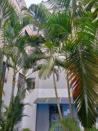 Imagem Apartamento com 2 Quartos à Venda, 50 m² em Guaianases - São Paulo Imagem Apartamento com 2 Quartos à Venda, 50 m² em Guaianases - São Paulo