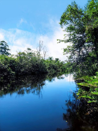 Imagem Casa com 2 Quartos à Venda, 100 m² em Costeira - Balneário Barra Do Sul Imagem Casa com 2 Quartos à Venda, 100 m² em Costeira - Balneário Barra Do Sul