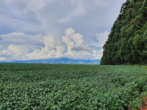 Imagem Fazenda à Venda, em Jardim Guanabara - São João Da Boa Vista Imagem Fazenda à Venda, em Jardim Guanabara - São João Da Boa Vista