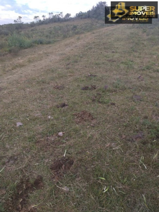 Imagem Imóvel com 2 Quartos à Venda, 4.140.000 m² em Centro - Piratini
