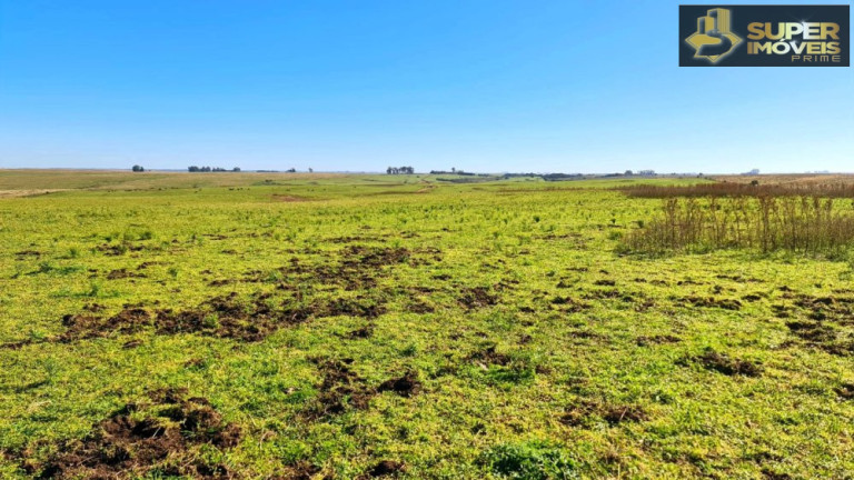 Imagem Imóvel à Venda, 1.880.000 m² em área Rural De Bagé - Bagé