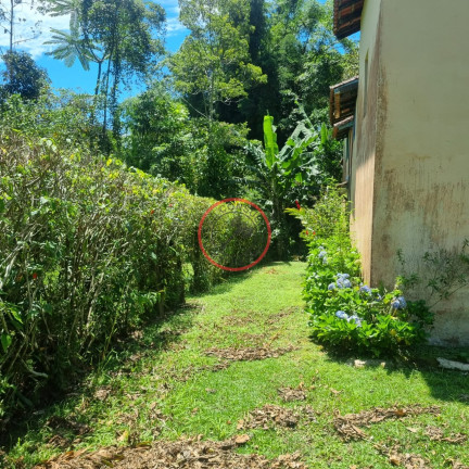 Imagem Casa com 2 Quartos à Venda, 150 m² em Boiçucanga - São Sebastião Imagem Casa com 2 Quartos à Venda, 150 m² em Boiçucanga - São Sebastião