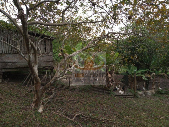Imagem Fazenda à Venda, 72.000 m² em Padre André - Jacupiranga Imagem Fazenda à Venda, 72.000 m² em Padre André - Jacupiranga