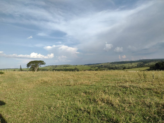 Imagem Imóvel à Venda, 10 m² em área Rural De Avaí - Avaí Imagem Imóvel à Venda, 10 m² em área Rural De Avaí - Avaí
