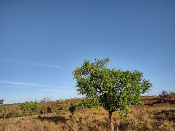 Imagem Fazenda à Venda, 1.046 m² em Arinos - Arinos
