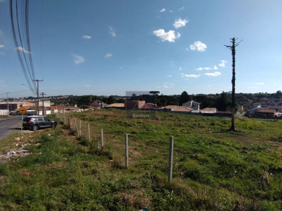 Imagem Terreno à Venda, 9.139 m² em Campo Pequeno - Colombo Imagem Terreno à Venda, 9.139 m² em Campo Pequeno - Colombo