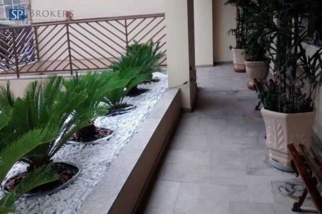 Imagem Apartamento com 3 Quartos à Venda, 78 m² em Centro - Campinas Imagem Apartamento com 3 Quartos à Venda, 78 m² em Centro - Campinas