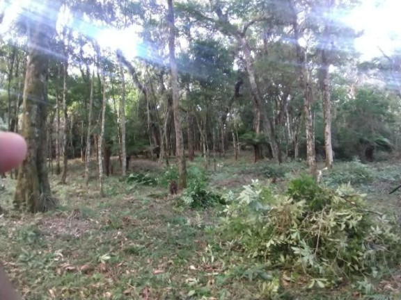 Imagem Terreno à Venda, 9.100 m² em Campestre Da Faxina - São José Dos Pinhais