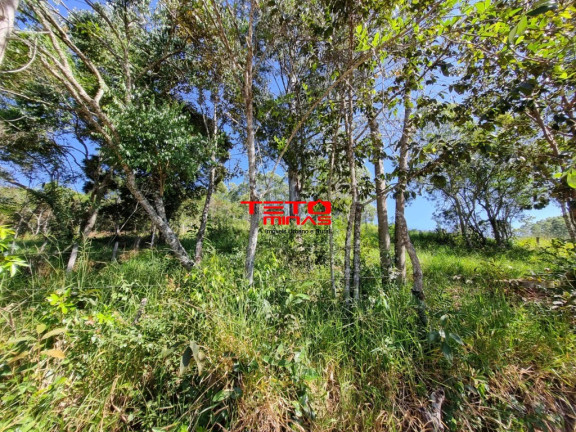 Imagem Imóvel à Venda, em Zona Rural - Dom Viçoso Imagem Imóvel à Venda, em Zona Rural - Dom Viçoso