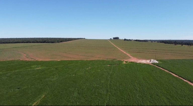 Imagem Fazenda à Venda, 8.100 m² em Rural - Chapadão Do Sul