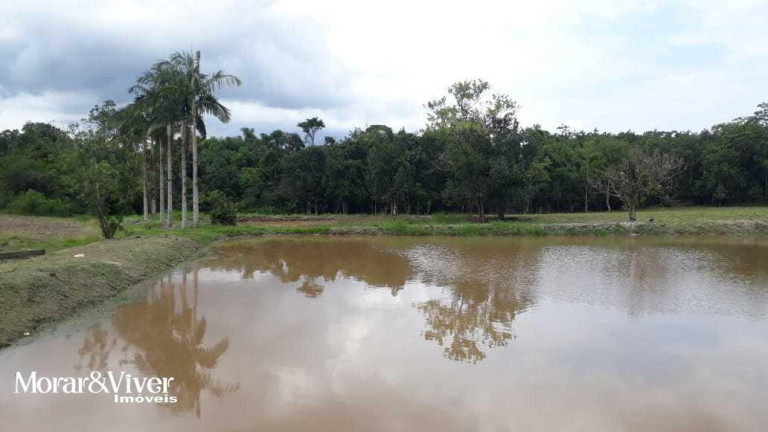 Imagem Chácara com 3 Quartos à Venda, 84.750 m² em Alexandra - Paranaguá Imagem Chácara com 3 Quartos à Venda, 84.750 m² em Alexandra - Paranaguá