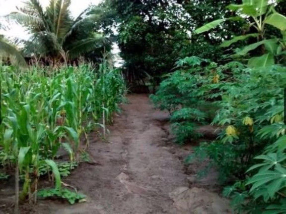 Imagem Fazenda à Venda, 204 m² em Barra Do Pojuca - Camaçari Imagem Fazenda à Venda, 204 m² em Barra Do Pojuca - Camaçari