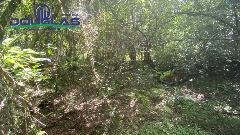 Imagem Terreno à Venda, 5.000 m² em Viamão