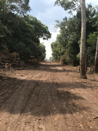 Imagem Fazenda à Venda, 3.100 m² em Rural - Porto Alegre Do Norte