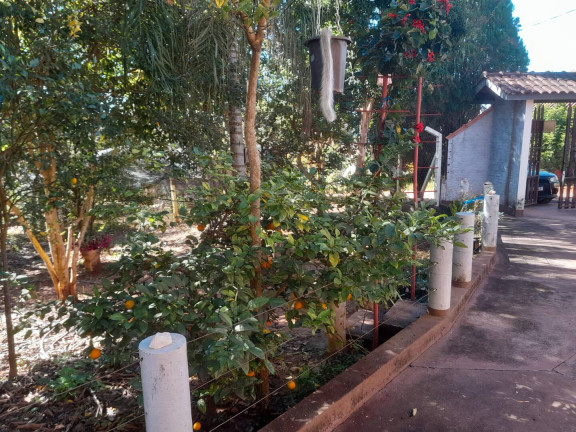 Imagem Chácara com 4 Quartos à Venda, 4.060 m² em Caneleiras - Ouro Fino Imagem Chácara com 4 Quartos à Venda, 4.060 m² em Caneleiras - Ouro Fino