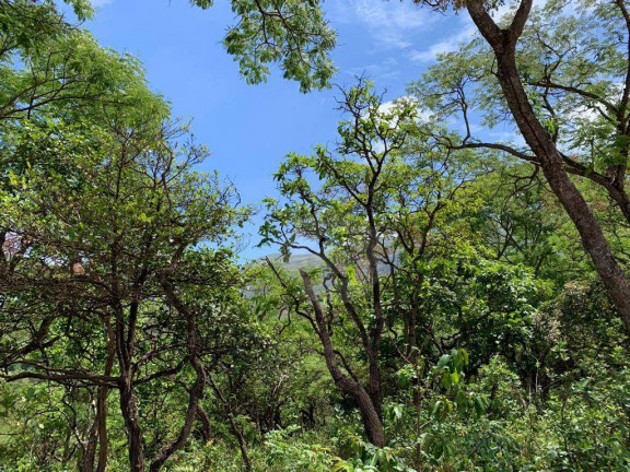 Imagem Terreno à Venda, 1.000 m² em Suzana - Brumadinho Imagem Terreno à Venda, 1.000 m² em Suzana - Brumadinho