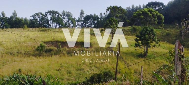 Imagem Terreno à Venda, 12.000 m² em Pinhal Grande - Extrema