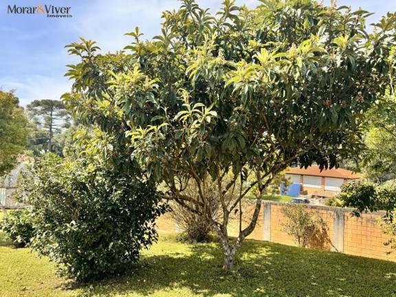 Imagem Chácara com 4 Quartos à Venda, 7.700 m² em Loteamento Chácara Chantecler - Piraquara