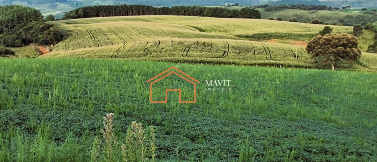 Imagem Imóvel à Venda, 750.200 m² em Interior - Campo Belo Do Sul Imagem Imóvel à Venda, 750.200 m² em Interior - Campo Belo Do Sul