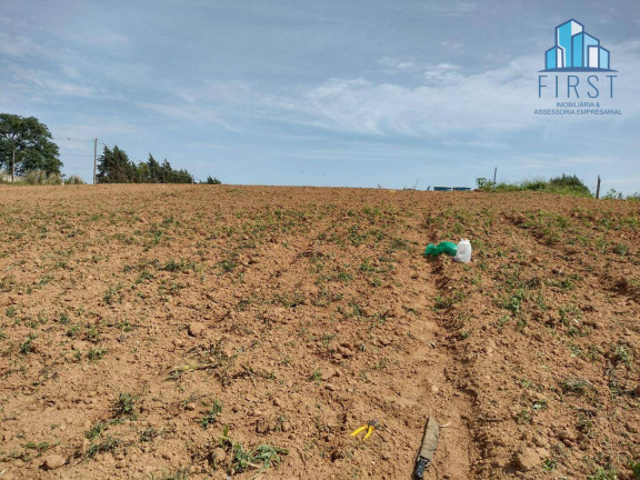 Imagem Terreno à Venda, 18.431 m² em Santo Antônio - Louveira Imagem Terreno à Venda, 18.431 m² em Santo Antônio - Louveira