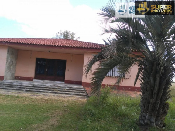 Imagem Imóvel com 4 Quartos à Venda, 1.100.000 m² em Quinta - Rio Grande