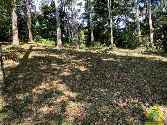 Imagem Terreno à Venda, 2.010 m² em Ponta Grossa - Ubatuba Imagem Terreno à Venda, 2.010 m² em Ponta Grossa - Ubatuba