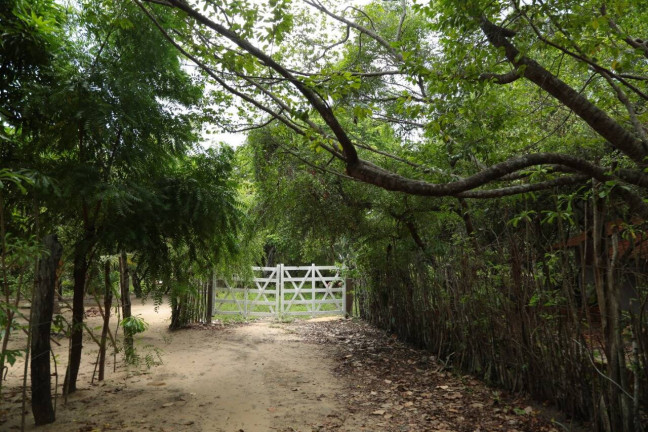 Imagem Terreno à Venda, 19 m² em Barra Do Cunhaú - Canguaretama Imagem Terreno à Venda, 19 m² em Barra Do Cunhaú - Canguaretama