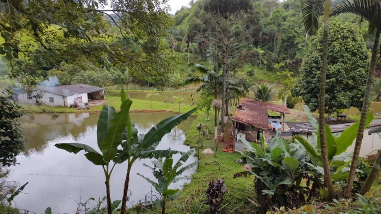 Imagem Imóvel à Venda, em Santa Rita - Miracatu Imagem Imóvel à Venda, em Santa Rita - Miracatu