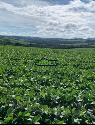 Imagem Chácara à Venda,  em Hidrolândia