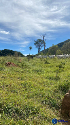 Imagem Fazenda à Venda, 37 m² em Zona Rural - Anápolis Imagem Fazenda à Venda, 37 m² em Zona Rural - Anápolis