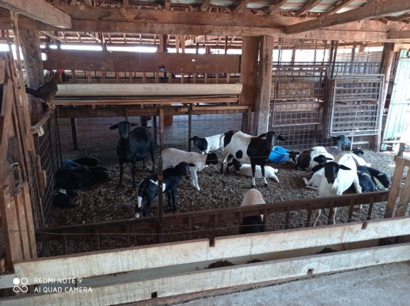 Imagem Fazenda à Venda, 106 m² em Mg - Iturama Imagem Fazenda à Venda, 106 m² em Mg - Iturama