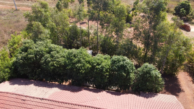 Imagem Imóvel com 3 Quartos à Venda, em Tocantins - Gurupi Imagem Imóvel com 3 Quartos à Venda, em Tocantins - Gurupi