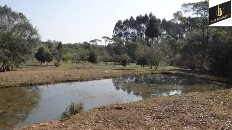 Imagem Imóvel com 4 Quartos à Venda, 84.000 m² em Jardim Itaqui - Campo Largo Imagem Imóvel com 4 Quartos à Venda, 84.000 m² em Jardim Itaqui - Campo Largo