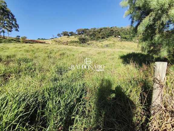 Imagem Imóvel com 3 Quartos à Venda, 18.000 m² em Centro - Munhoz Imagem Imóvel com 3 Quartos à Venda, 18.000 m² em Centro - Munhoz