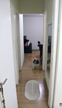 Imagem Apartamento com 3 Quartos à Venda, 65 m² em Gopoúva - Guarulhos Imagem Apartamento com 3 Quartos à Venda, 65 m² em Gopoúva - Guarulhos