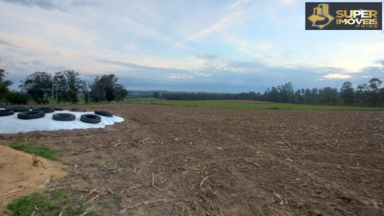 Imagem Imóvel com 3 Quartos à Venda, 660.000 m² em Zona Rural - Capão Do Leão