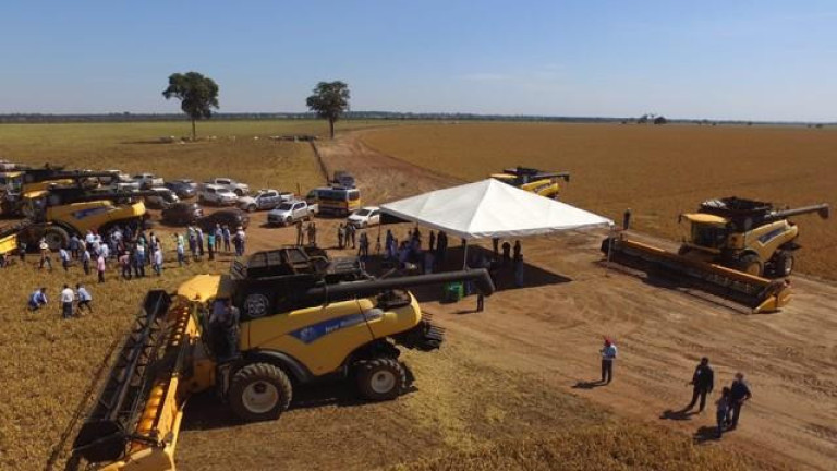 Imagem Fazenda à Venda, 3.000 m² em Zona Rural - Jussara Imagem Fazenda à Venda, 3.000 m² em Zona Rural - Jussara