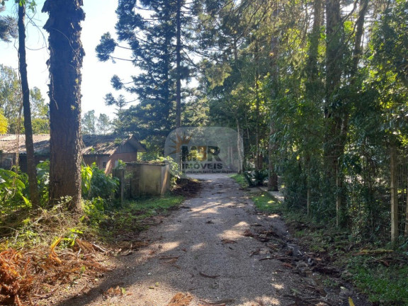 Imagem Terreno à Venda, 5.633 m² em Pousada Da Neve - Nova Petrópolis Imagem Terreno à Venda, 5.633 m² em Pousada Da Neve - Nova Petrópolis