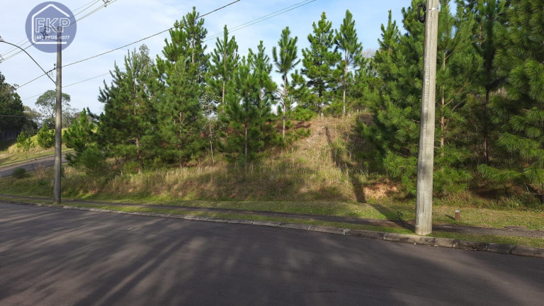 Imagem Terreno à Venda, 1.429 m² em Santa Isabel - Viamão