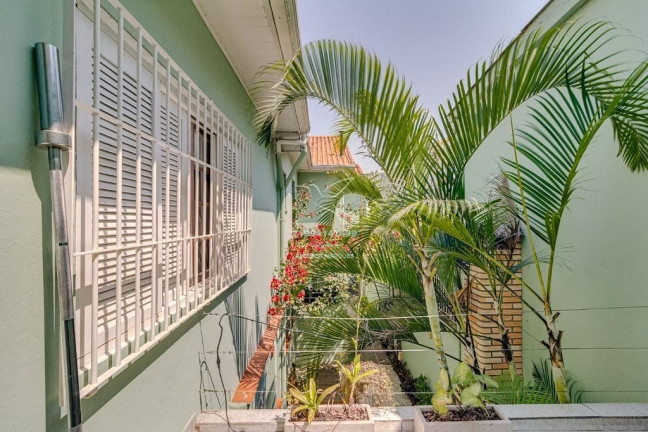 Imagem Casa com 4 Quartos à Venda, 250 m² em Vila Mariana - São Paulo
