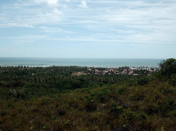Imagem Terreno à Venda, 100.000 m² em Barra Do Itariri - Conde