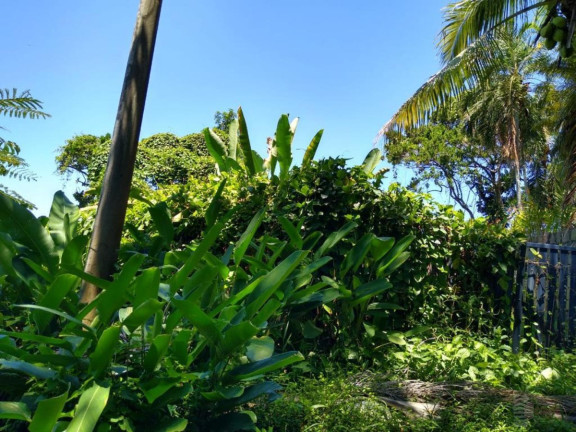 Imagem Terreno à Venda, 237 m² em Felix - Ubatuba Imagem Terreno à Venda, 237 m² em Felix - Ubatuba