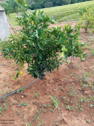 Imagem Imóvel com 2 Quartos à Venda, 90 m² em Zona Rural - Caldas Imagem Imóvel com 2 Quartos à Venda, 90 m² em Zona Rural - Caldas