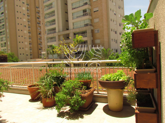 Imagem Apartamento com 3 Quartos à Venda, 220 m² em Vila Alexandria - São Paulo Imagem Apartamento com 3 Quartos à Venda, 220 m² em Vila Alexandria - São Paulo