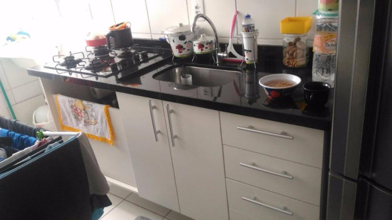 Imagem Apartamento com 2 Quartos à Venda, 49 m² em Palmeiras De São José - São José Dos Campos Imagem Apartamento com 2 Quartos à Venda, 49 m² em Palmeiras De São José - São José Dos Campos