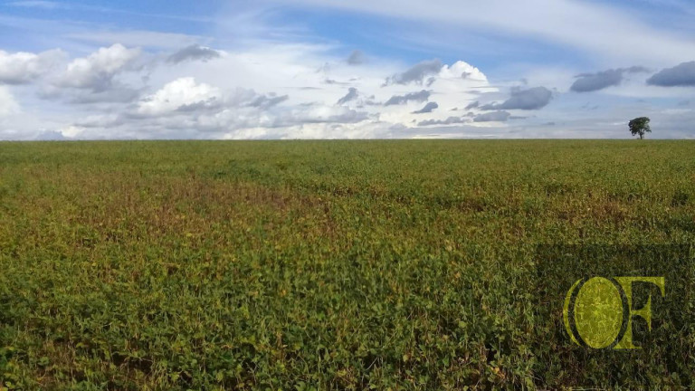 Imagem Fazenda à Venda, 75 m² em Rural - Paranapanema Imagem Fazenda à Venda, 75 m² em Rural - Paranapanema