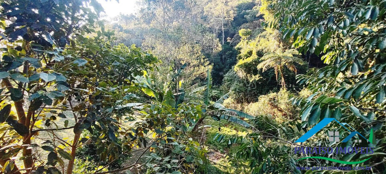 Imagem Chácara com 1 Quarto à Venda, 22 m² em Centro - Paraisópolis