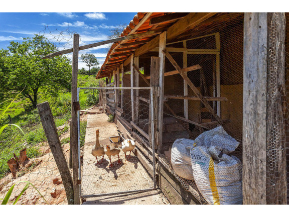 Imagem Imóvel com 4 Quartos à Venda, 500 m² em Estância Realengo - Jarinu