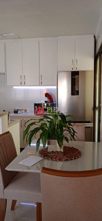 Imagem Apartamento com 2 Quartos à Venda, 50 m² em Jd Mangalot - São Paulo Imagem Apartamento com 2 Quartos à Venda, 50 m² em Jd Mangalot - São Paulo