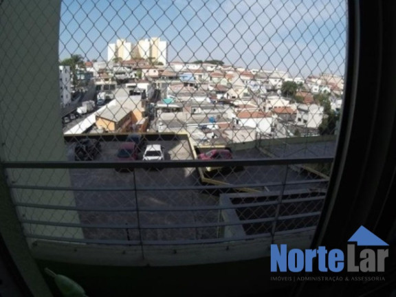 Imagem Apartamento com 3 Quartos à Venda, 60 m² em Vila Amélia - São Paulo Imagem Apartamento com 3 Quartos à Venda, 60 m² em Vila Amélia - São Paulo